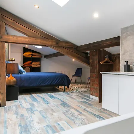 Le Classy, T3 Hypercentre Chic Et Cosy, Wifi Par Sovalfi * Saint-Etienne (Loire)