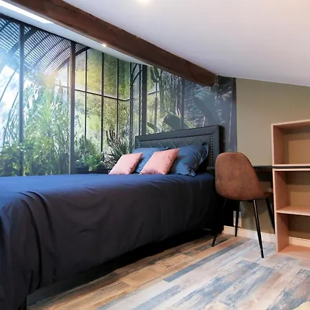 Apartment Le Classy, T3 Hypercentre Chic Et Cosy, Wifi Par Sovalfi
